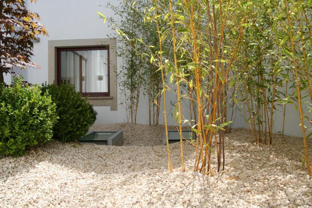 Santo Thyrso Hotel Santo Tirso Exterior photo